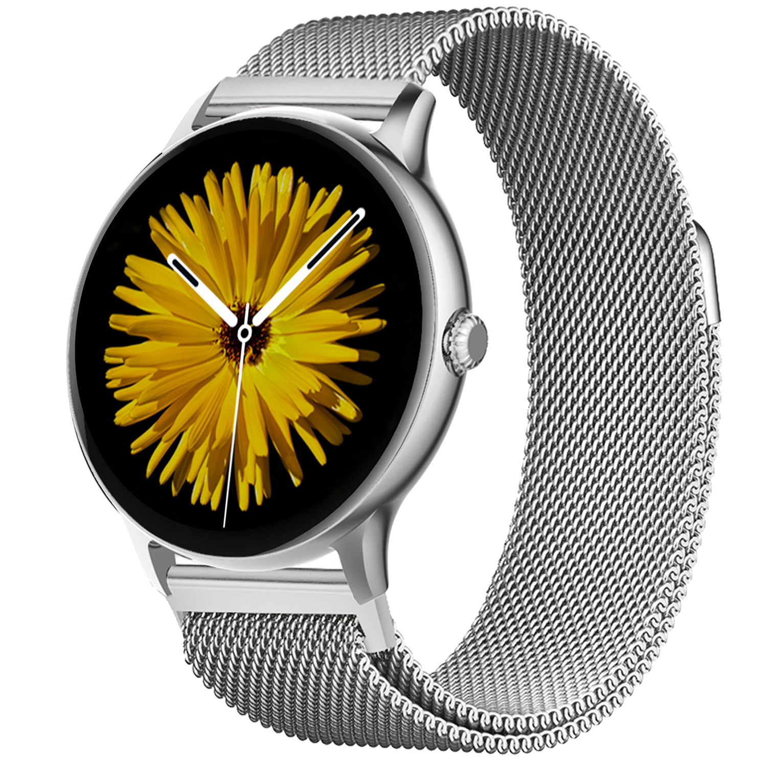 1-silver_e8a18f0e-7ff6-4474-8ac2-9ac986e27e0b.png